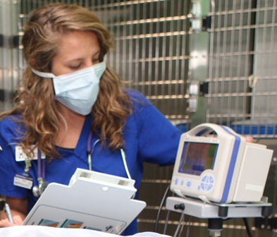 About Crosswater Animal Hospital